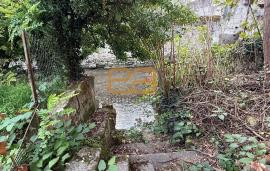 BEAULIEU LES LOCHES / Charmante maison de bourg